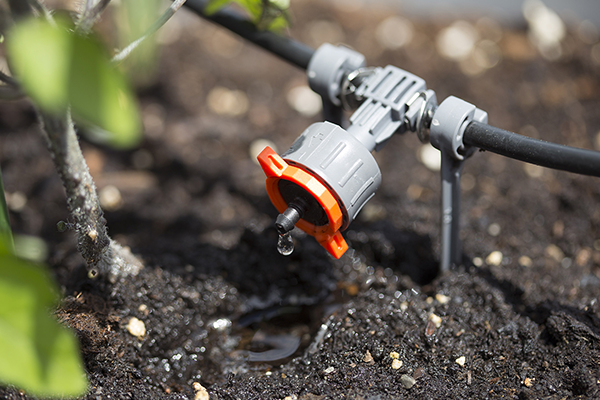 Drip Irrigation